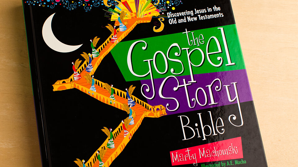 book gospel story bible